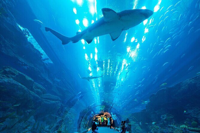 VIP Experience Dubai Aquarium & Underwater Zoo-As per Selection - Price and value: is $55 fair for what you get?