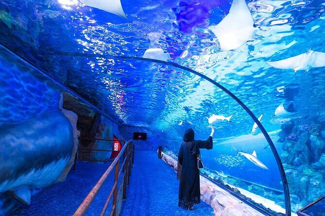 VIP Experience Dubai Aquarium & Underwater Zoo-As per Selection - Aquarium tunnel vs Underwater Zoo: what you’re really buying