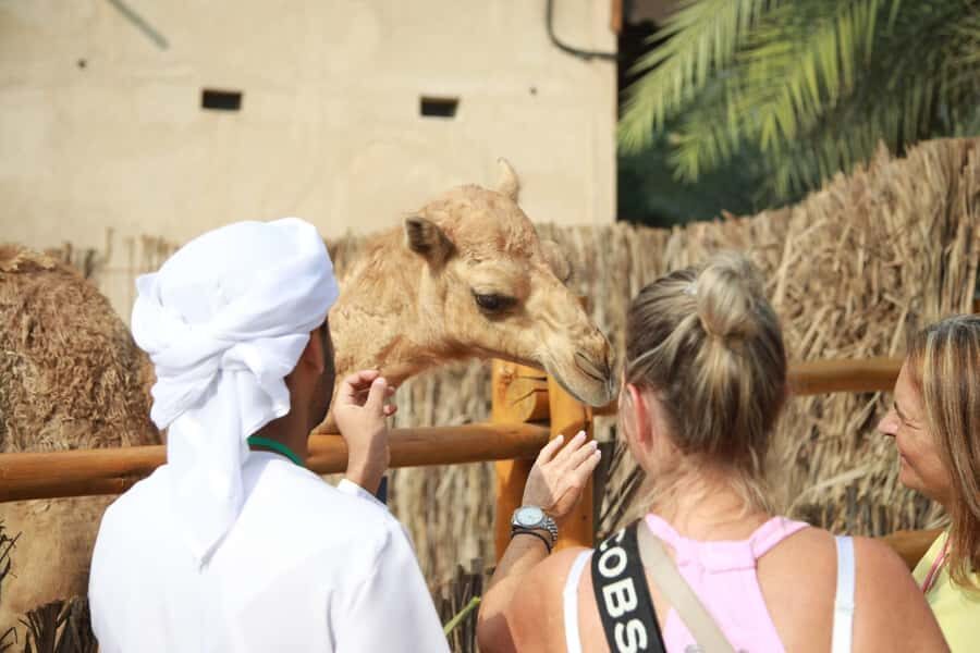 Walking Tour in Old Dubai.with Local Friend - Gold Souk and Spice Souk: Local Guidance for Buying and Not Getting Lost