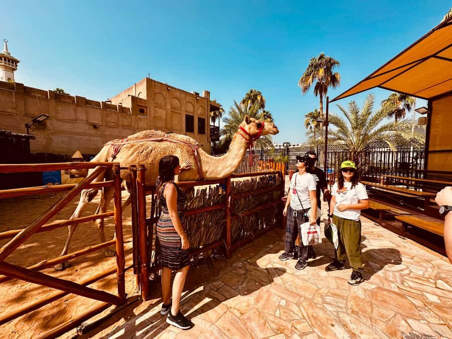 Walking tour of Historical Dubai with french guide - Where the tour starts: Arabian Tea House and a route that makes sense