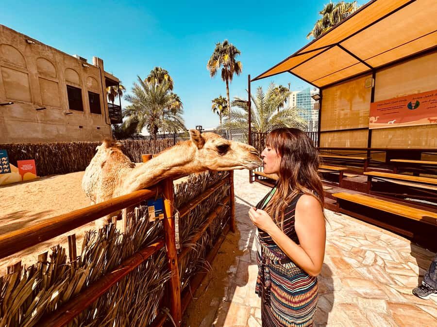Walking tour of Historical Dubai with french guide - Baba’s Cave spices and the tea-donut-date tasting