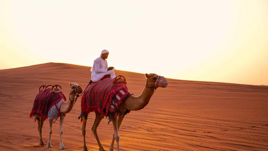 Zerzura Dune Buggy Experience & Dinner at Zerzura - Camel Rock photo stop and sandboarding: the best way to play on the dunes